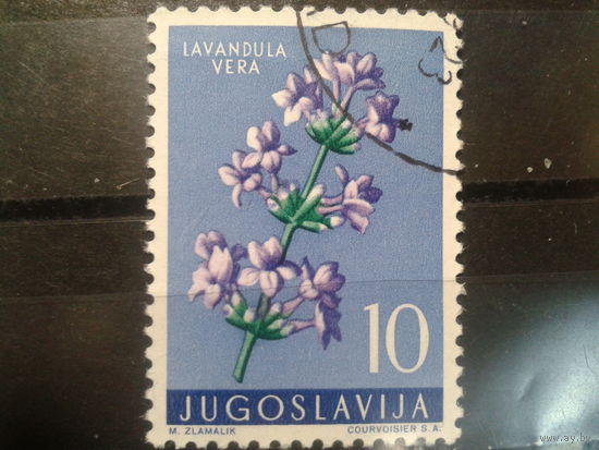Югославия, 1959. Лаванда