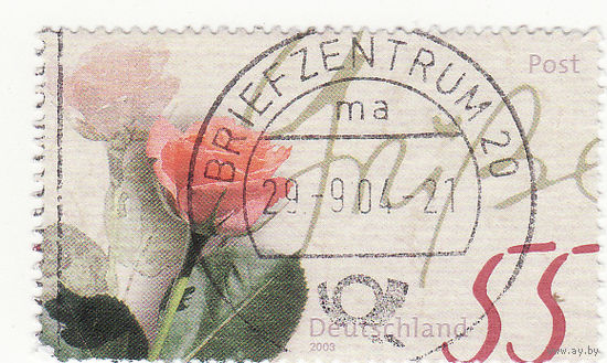 Приветствие розы 2003 год