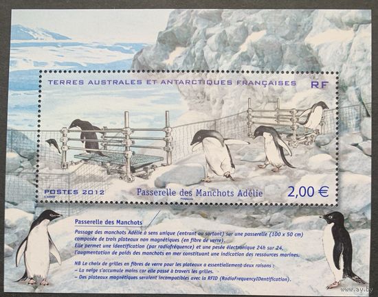 Французские территории в Антарктиде 2012. Пингвины. Блок