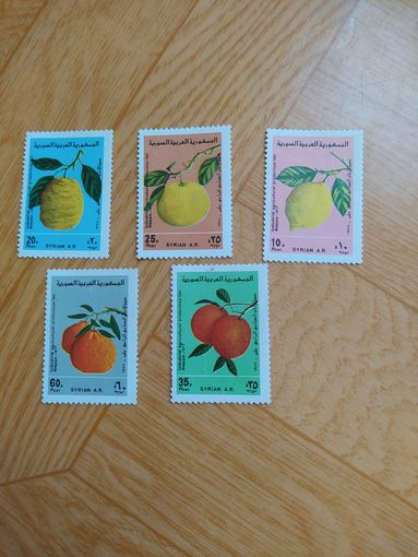 Сирия серия марок 1977 г. Флора