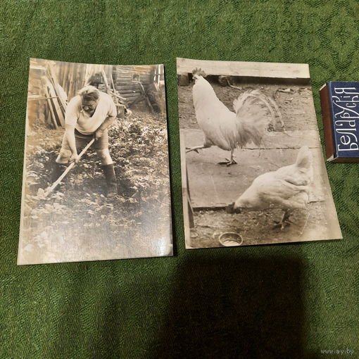 Хозяйство..., 1970-е гг.