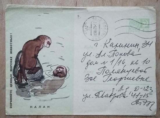 ХМК. Охраняйте ценных морских животных. Калан. 1967 г. Подписан.