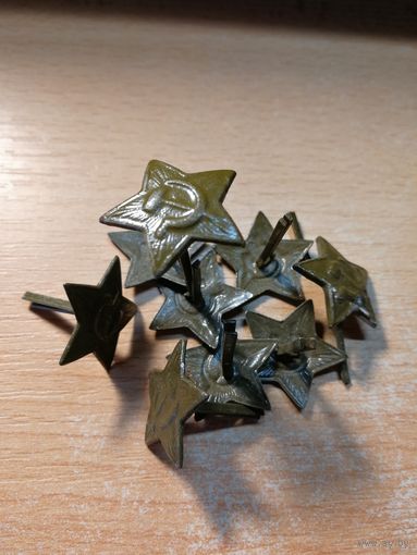 Звездочка полевая.