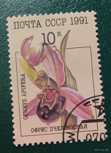 Марка СССР 1991 Орхидеи