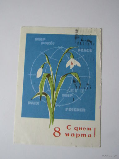 С Днем 8 Марта! Козлов 1966 г