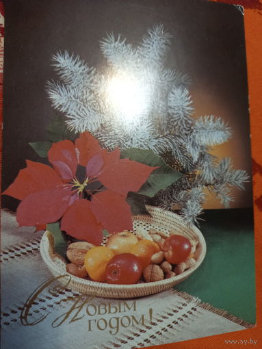 Киндрова С Новым годом!