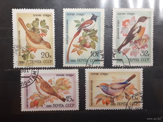 СССР. 1981 год. Фауна. Певчие птицы (379)