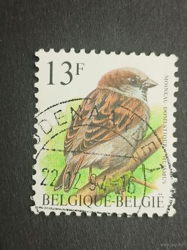 Бельгия 1994. Птицы