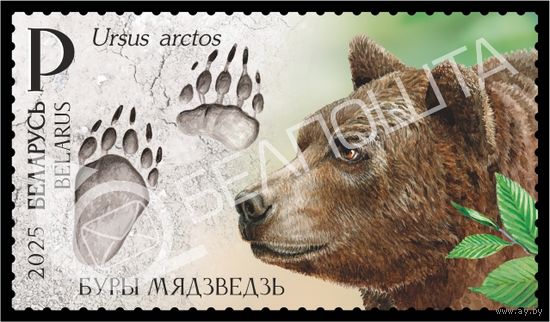 2025 БЕЛАРУСЬ Марка "Следы зверей" MNH