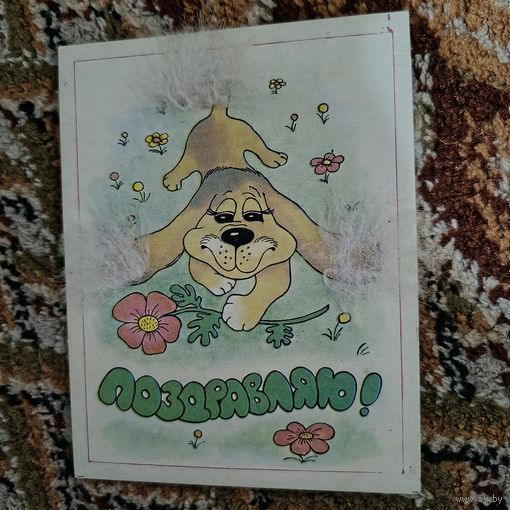 Необычная открытка из СССР пес с пушистиками подписана