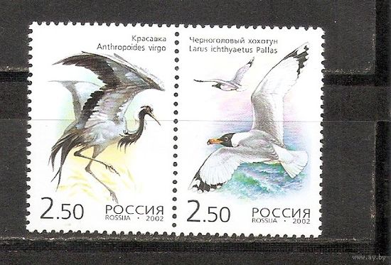 ФФ1 Россия 2002 Птицы