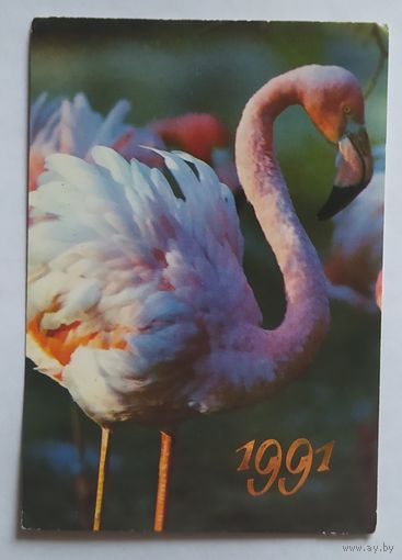 Фламинго. Календарик 1991