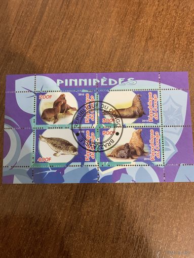 Конго 2010. Моржовые. Малый лист