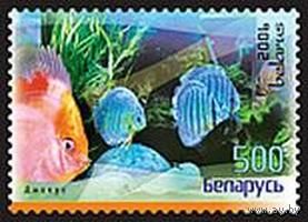 Марки "Аквариумные рыбы. Дискус красный", "Дискус фиолетовый", "Дискус зеленый", "Дискус желтый"