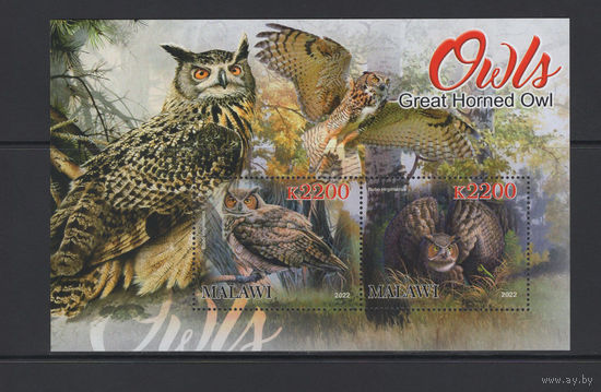 Малави 2022** Хищные Птицы Совы