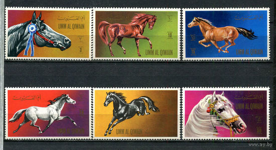 Умм-эль-Кайвайн - 1972 - Лошади - [Mi. 496-501] - полная серия - 6 марок. MNH.  (Лот 93HF)-T41P24