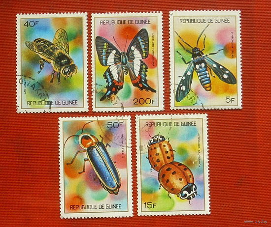 Гвинея. Фауна. Насекомые. ( 5 марок ) 1973 года. 2-6.