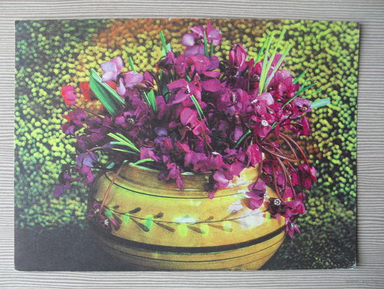 ПОДПИСАННАЯ ОТКРЫТКА .СССР. 1975 год. КОМПОЗИЦИЯ. ФЛОРА. фото. Г. КОСТЕНКО.