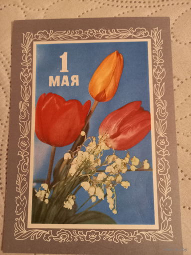 Пармеев 1 Мая