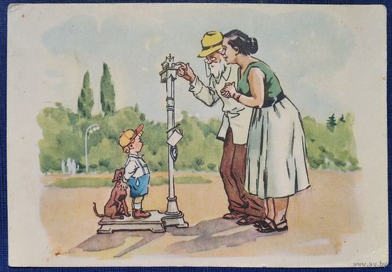 Северин Ю. Чернуха В. Вот что значит манная каша. 1956 г. Чистая.
