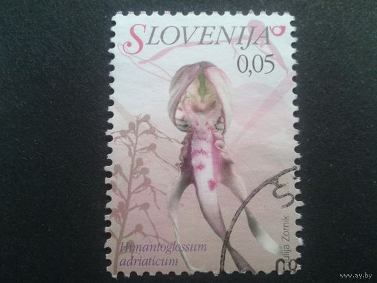 Словения 2007 стандарт, цветы