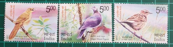 2017 Уязвимые птицы Индия