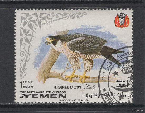Фауна Птицы Йемен 1969 Сокол Used