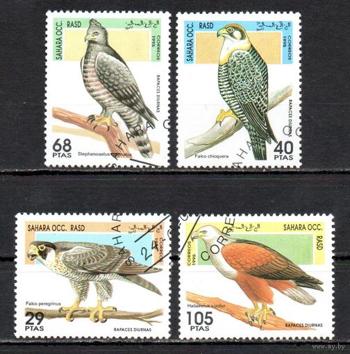 Хищные птицы Сахарская Арабская Демократическая Республика 1995 год серия из 4-х марок