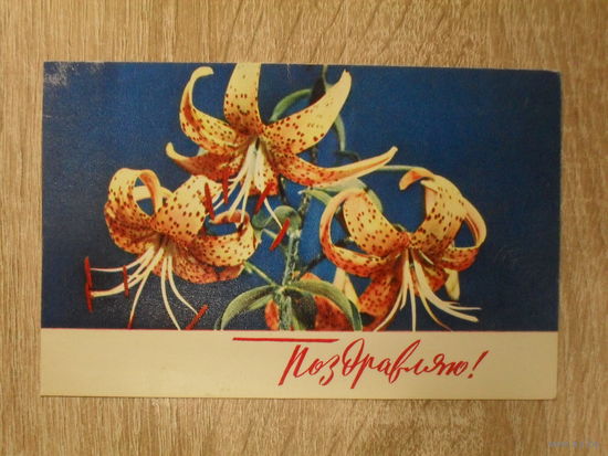 ЧИСТАЯ ОТКРЫТКА СССР. "ПОЗДРАВЛЯЮ."