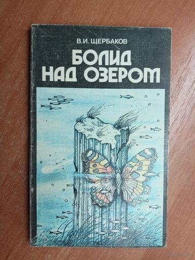 Владимир Щербаков "Болид над озером"