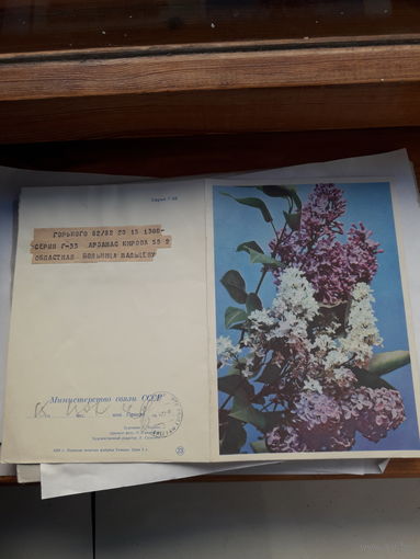 Телеграмма СССР серия Г-33 ППФГ 1968