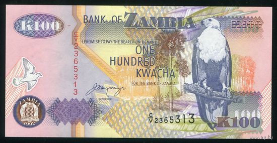 Замбия 100 квача 1992 г. P38b. UNC