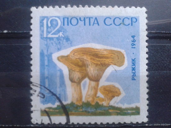 1964 Рыжик