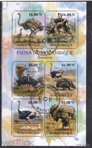 ЛИСТ ФАУНА ПТИЦЫ  СТО