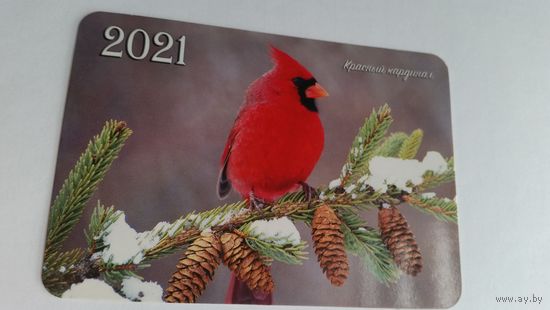 Календарик.Птица.