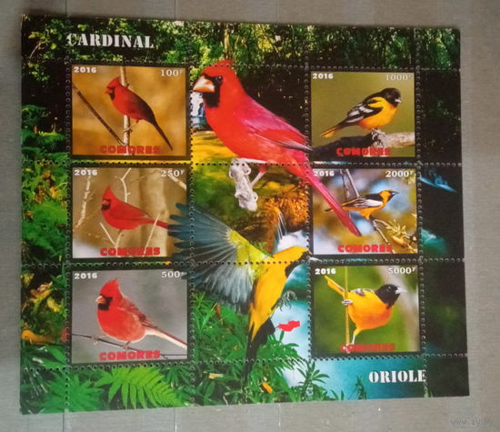 СЕРИЯ Блоков птицы  фауна MNH