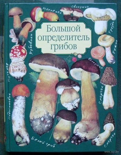 Большой определитель грибов. А. В. Юдин. Большой формат.