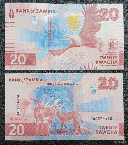 20 квача Замбия 2024 г. UNC