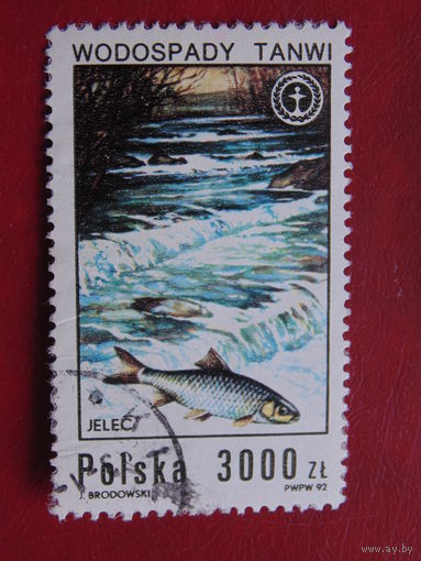 Польша 1992 г. Рыбы.