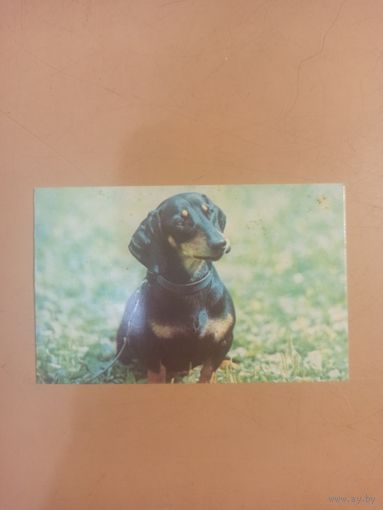 Календарь 1990 такса 2