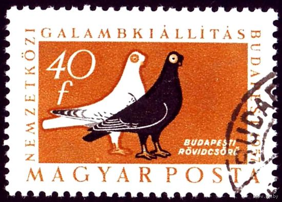 Международная выставка голубей Венгрия 1957 год 1 марка