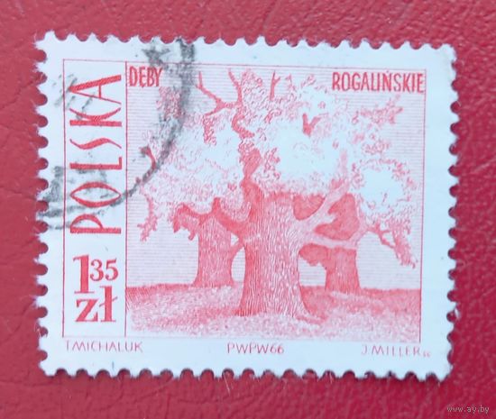Польша, 1966 г., стандартный выпуск, туризм