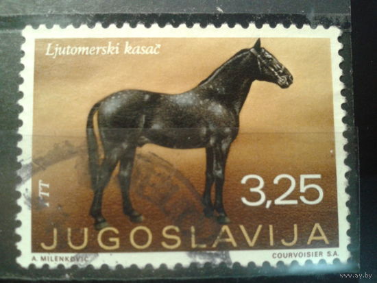 Югославия, 1969. Лошадь