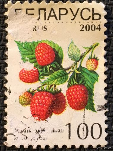 ЦІКАВІЦЬ АБМЕН! 2004, маліны звычайныя, 100 руб