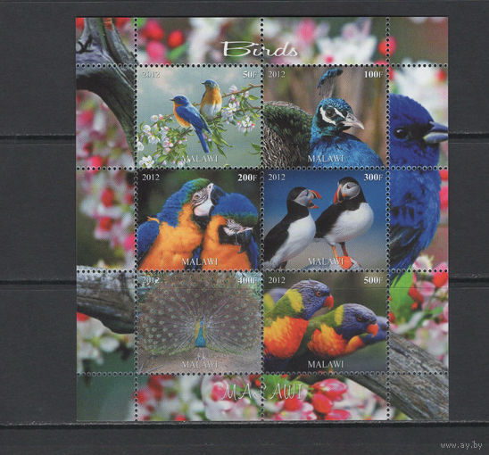 Малави 2012  Птицы