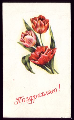 Поздравляю! Минск