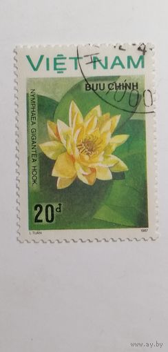 Вьетнам 1988. Водные цветы