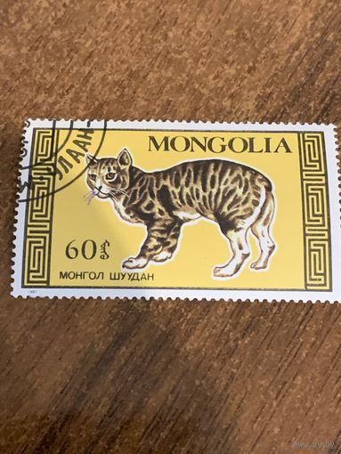 Монголия 1987. Породы домашних кошек. Марка из серии