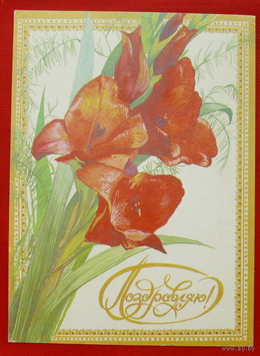 Поздравляю! Чистая. 1992 года. Черкасов. # 180. Тираж 50000.