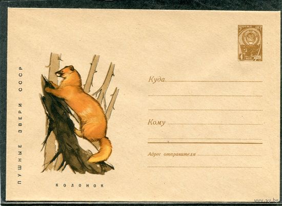СССР 1967. ХМК. Конверт. Фауна. Пушные звери. Колонок